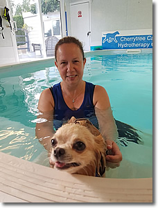 Cherrytree Canine  Hydrotherapy Kent -  Gallery 12